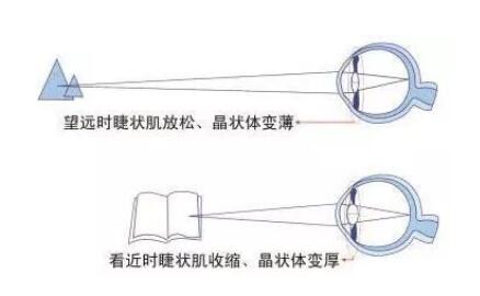 QQ截圖20190715110306