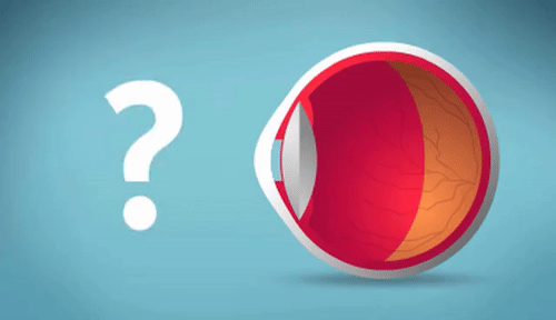 微信圖片_20210812104127